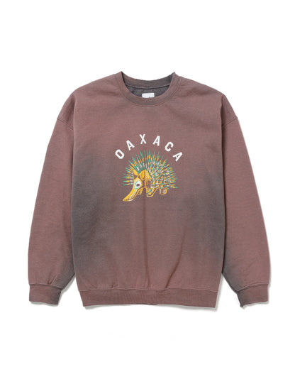 25SS-CSS-007 / SWEATSHIRT “OAXACA PORCUPINE” / CHARCOAL FADE