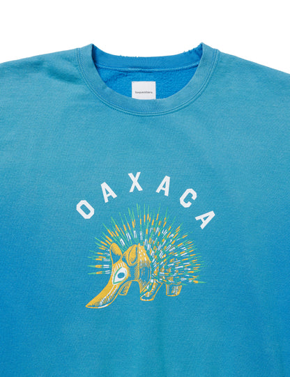 25SS-CSS-007 / SWEATSHIRT “OAXACA PORCUPINE” / CHARCOAL FADE