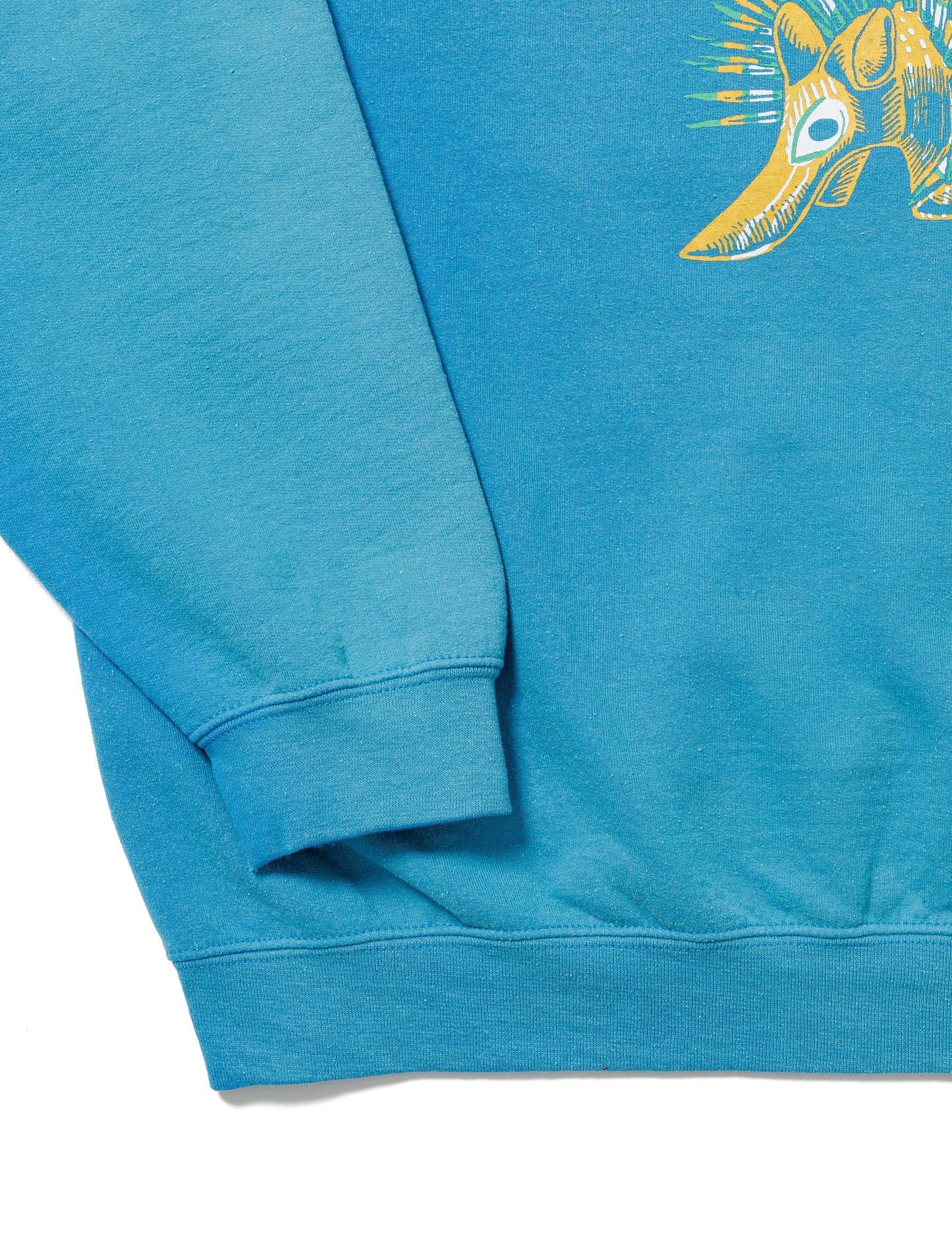 25SS-CSS-007 / SWEATSHIRT “OAXACA PORCUPINE” / CHARCOAL FADE